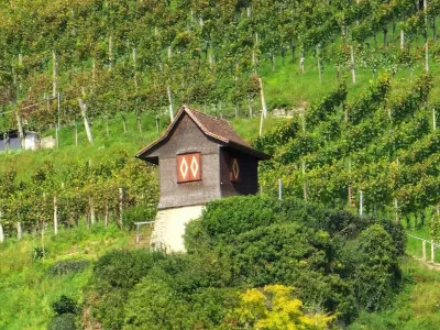 Vereinsausflug 2025 Bild 0